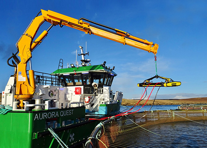 marine hydraulic crane
