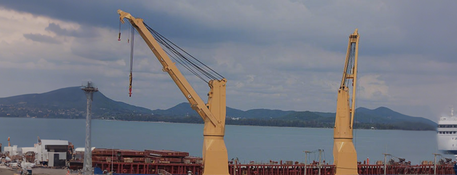 Deck Crane