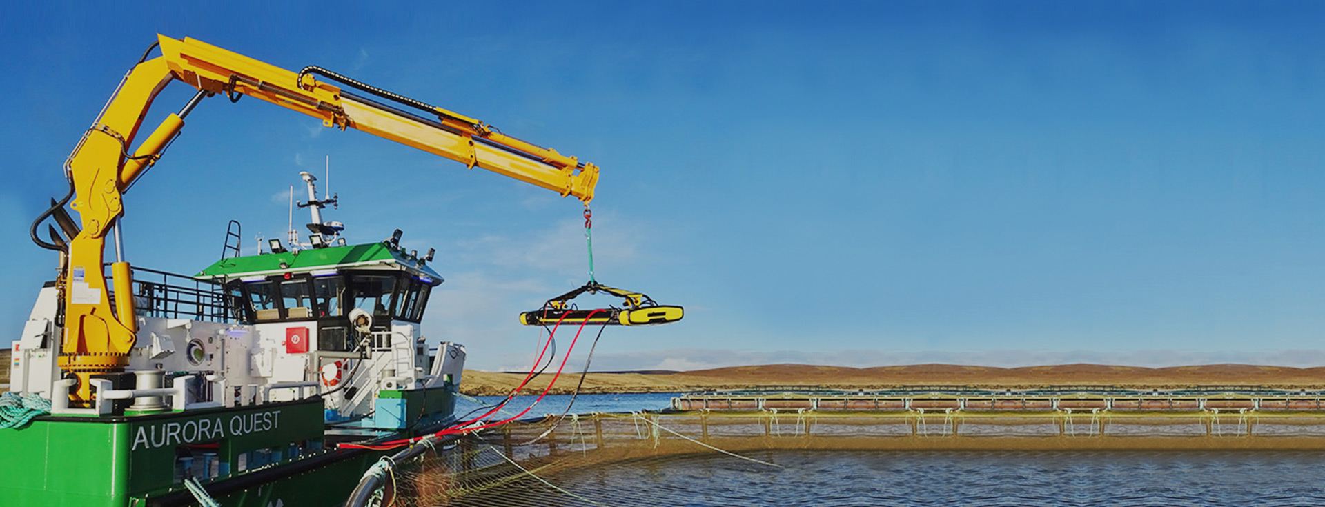 Marine Knuckle Boom Crane