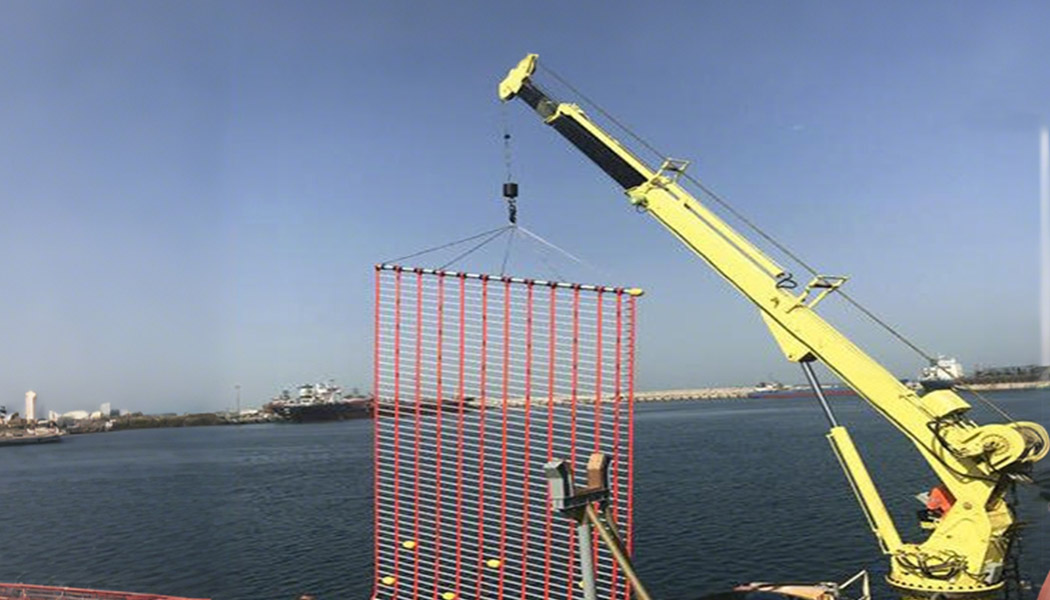 Marine Telescopic Crane application