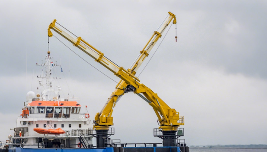 Marine Telescopic Crane application