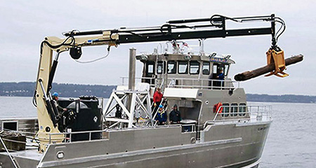 Marine Telescopic Crane