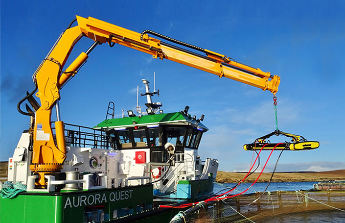 Marine Telescopic Boom Crane
