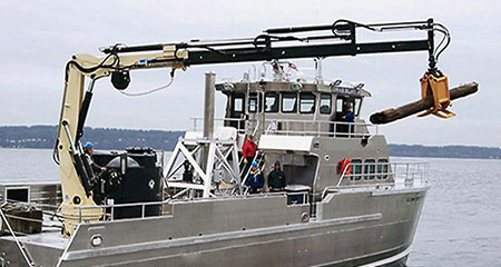 Marine Telescopic Boom Crane