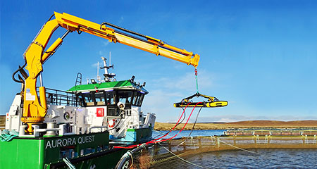 Marine Knuckle Boom Crane