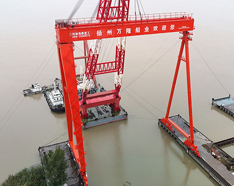 450T Shipbuilding Gantry Crane