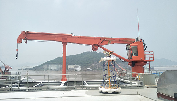 5T-30M Telescopic Boom Crane